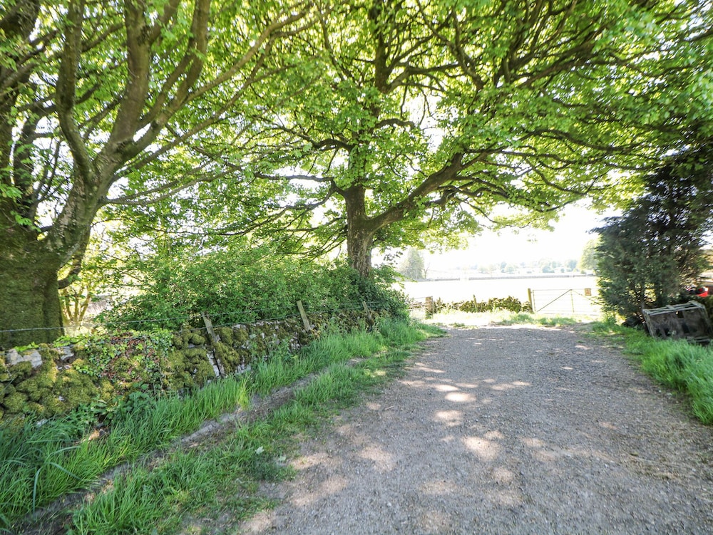 Photo 42