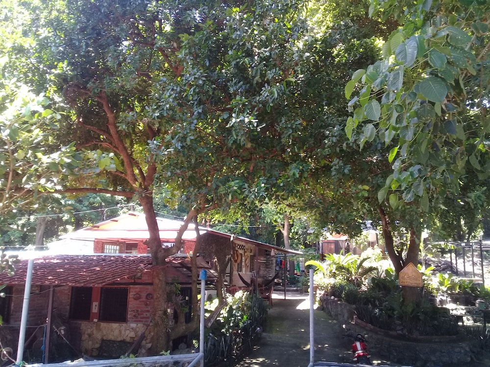 Photo 45