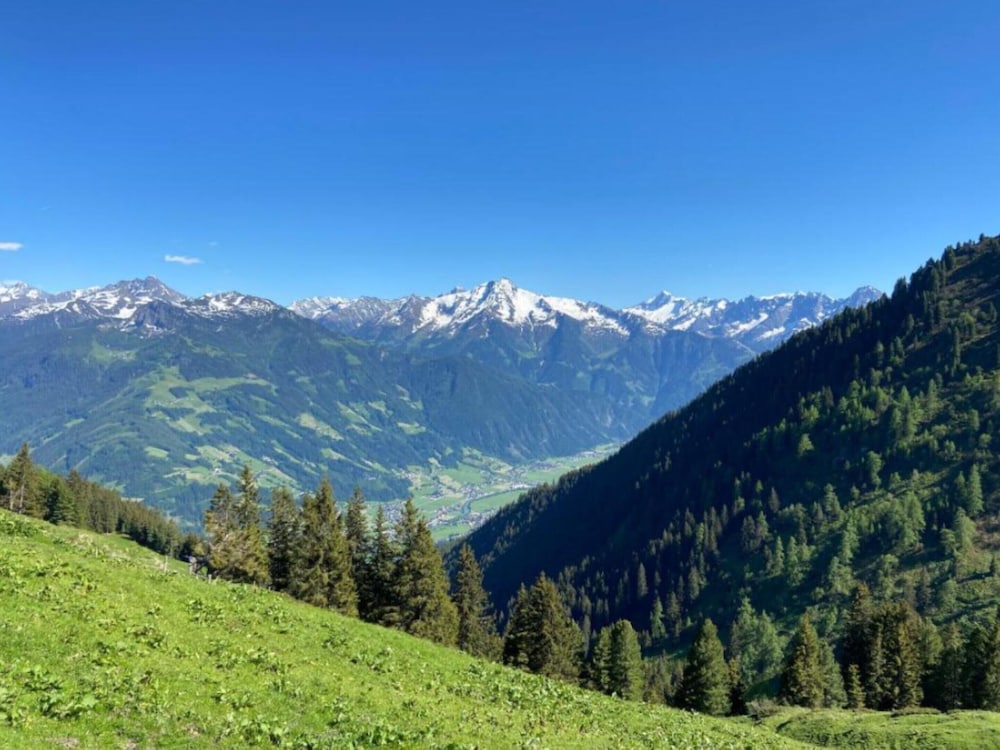 Unique Large Alpine Pasture in the Middle of the Zillertal Mountains