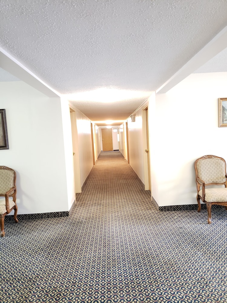 Photo 46