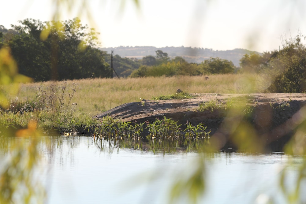 Country Park