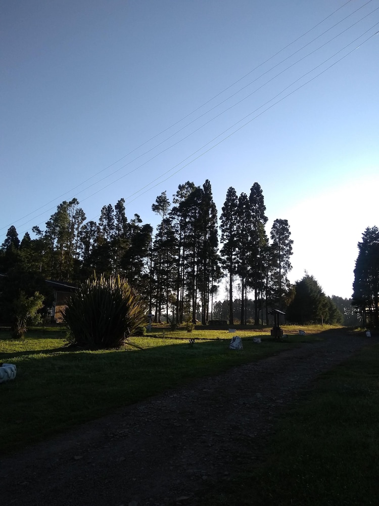 Photo 46