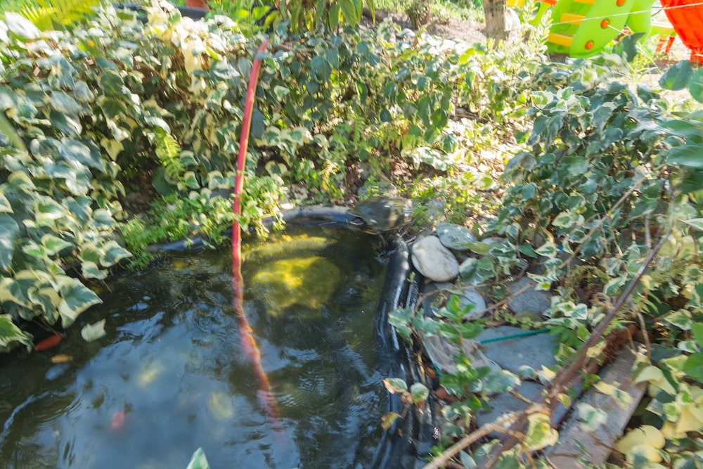 Photo 28