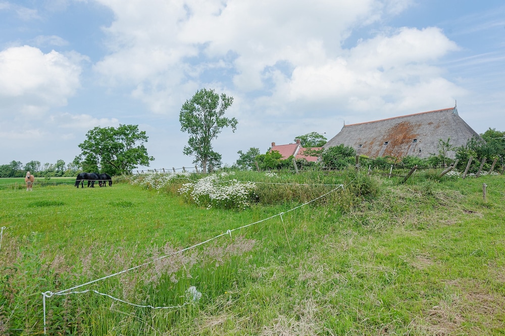 Farmhouse by Lauwers River With Rowing Boat view 2