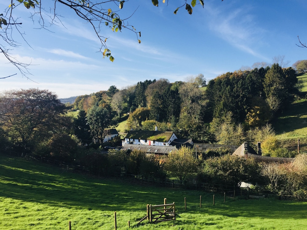 The Cridford Inn