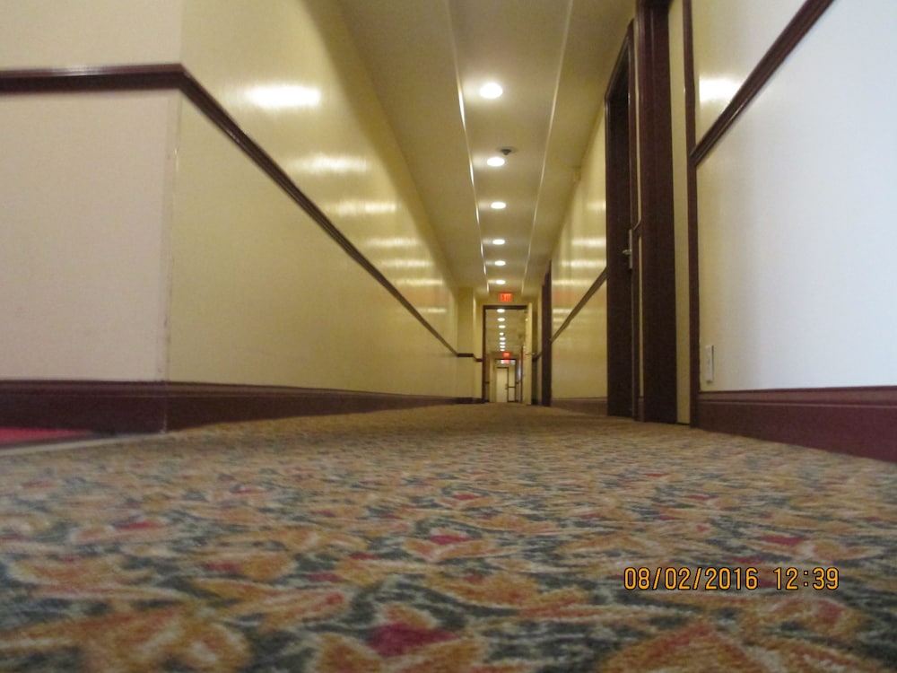 Photo 47