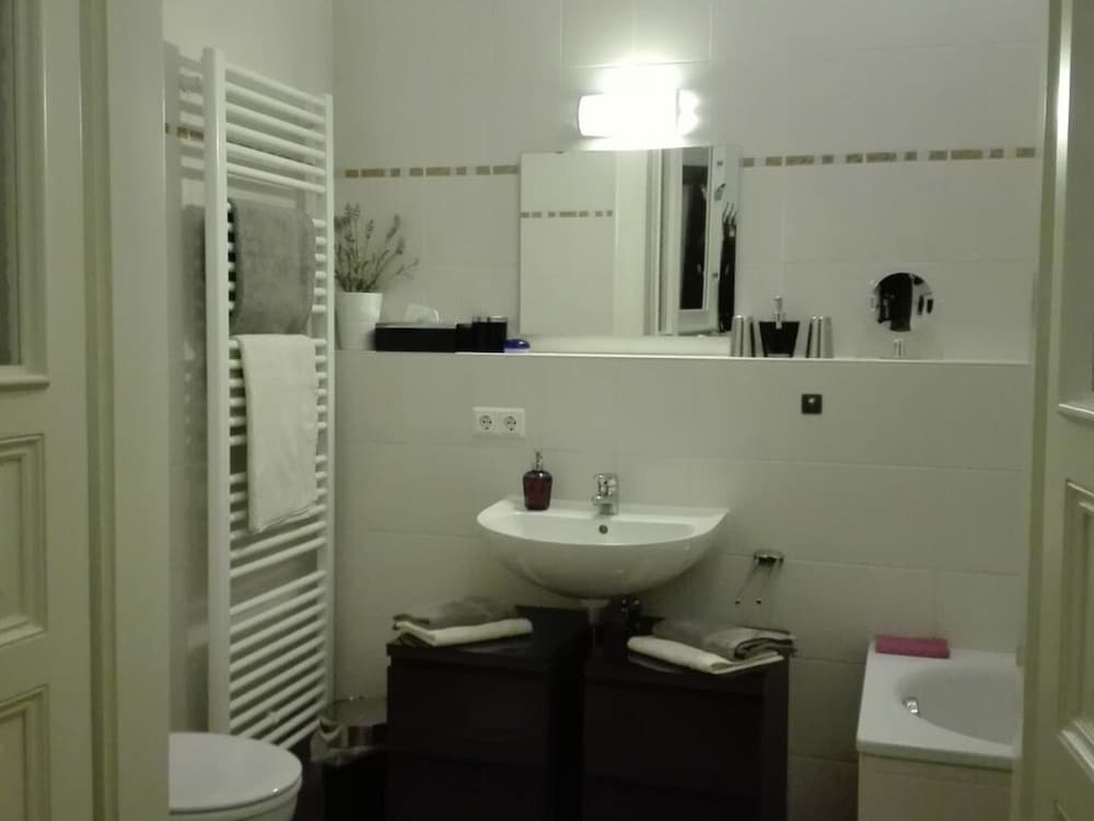 Charming Apartment in Radebeul