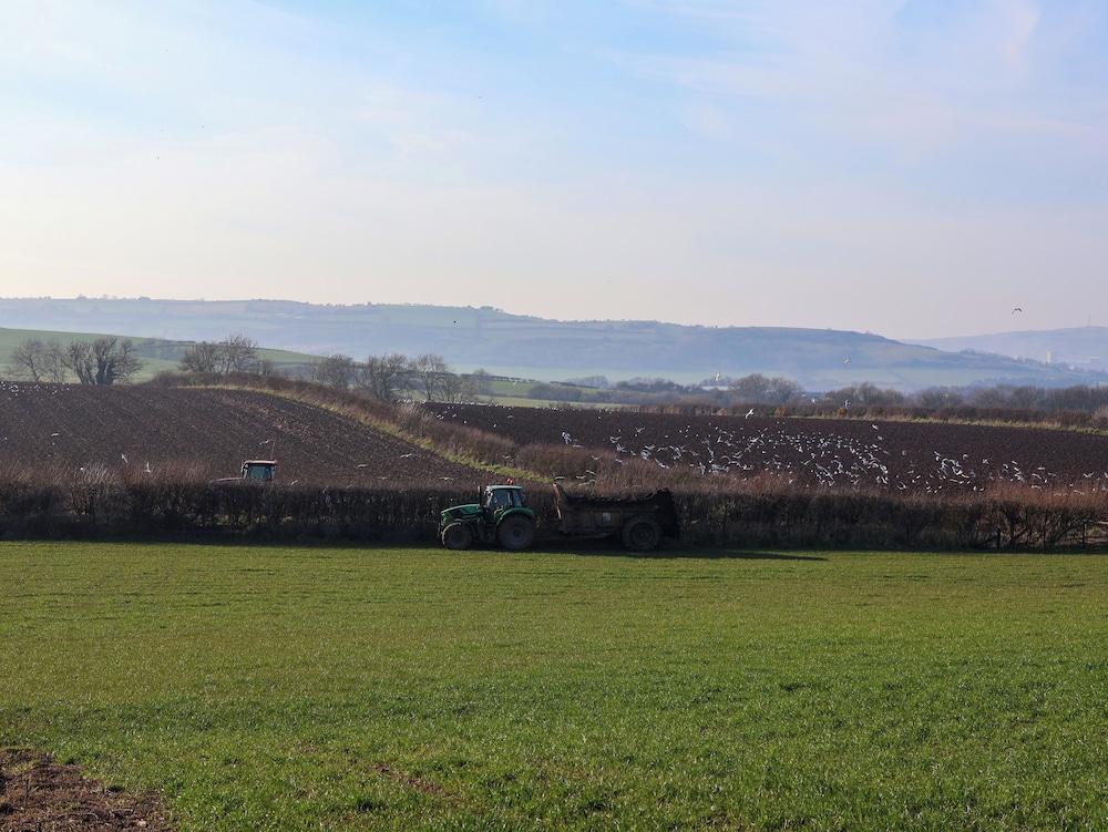 The Old Dairy, Ellerby