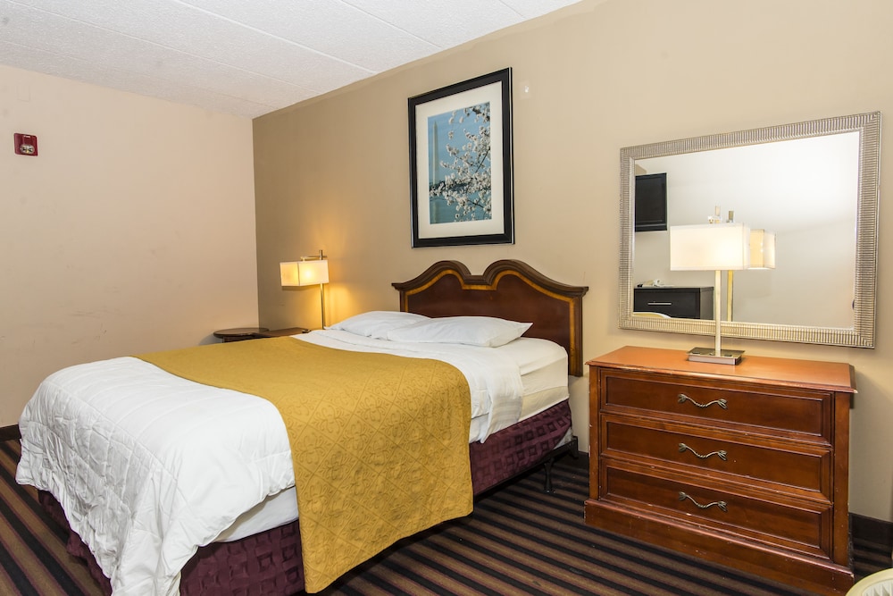 Laurel Vacations - Garden Inn - Property Image 12