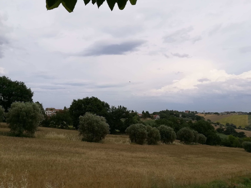 Photo 32