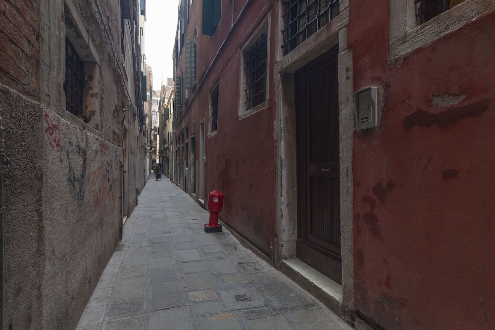 Leon D'oro photo 5