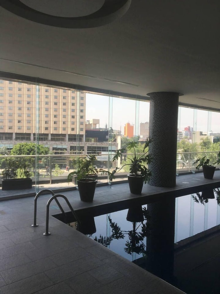 Cozy Apartment in Reforma Avenue photo 4