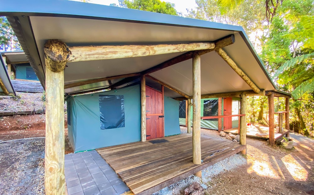 Binna Burra Rainforest Campsite view 3