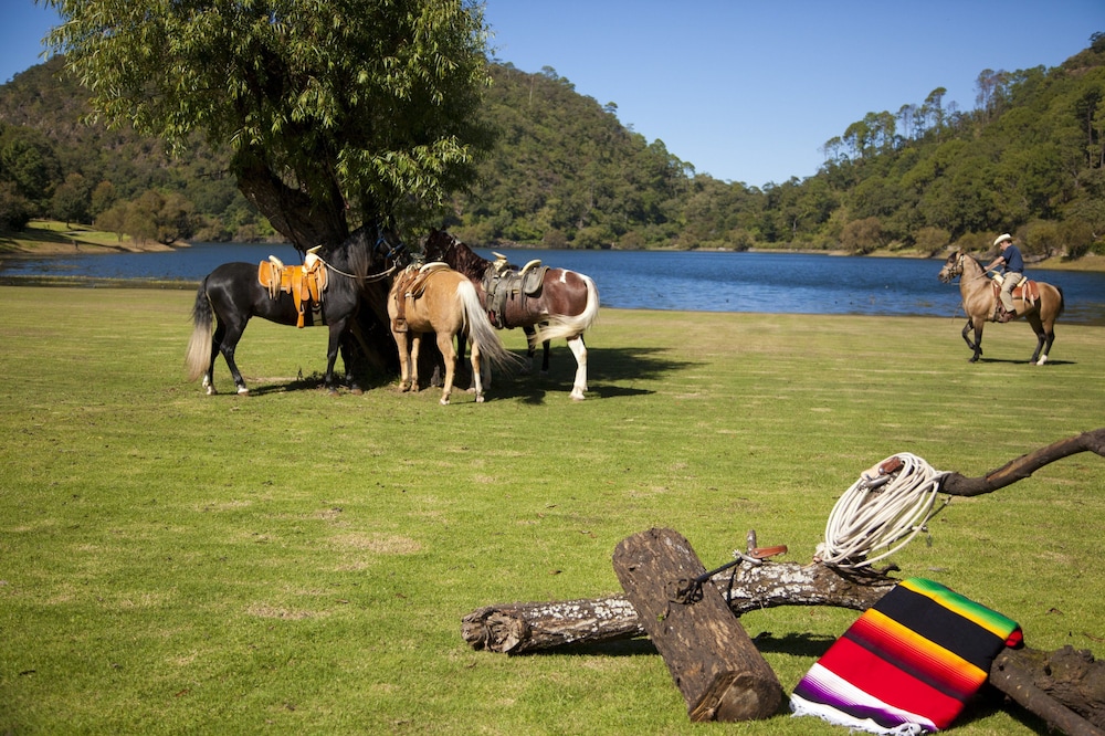 Sierra Lago Resort  Spa - All inclusive - Property Image 58