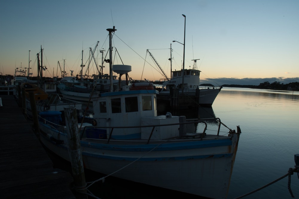 Photo 44