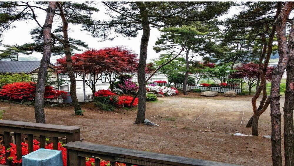 Mirim Pension