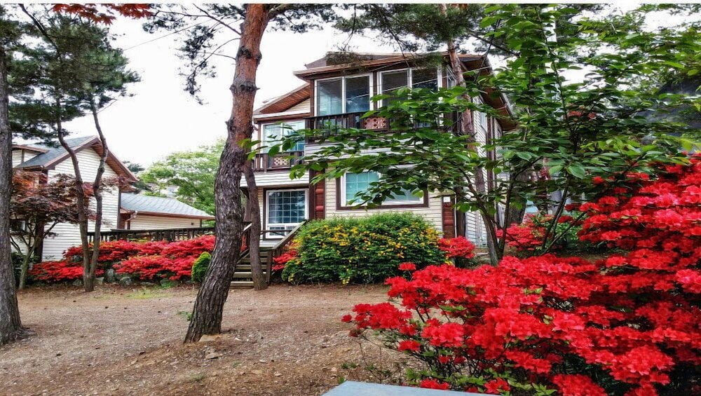 Mirim Pension