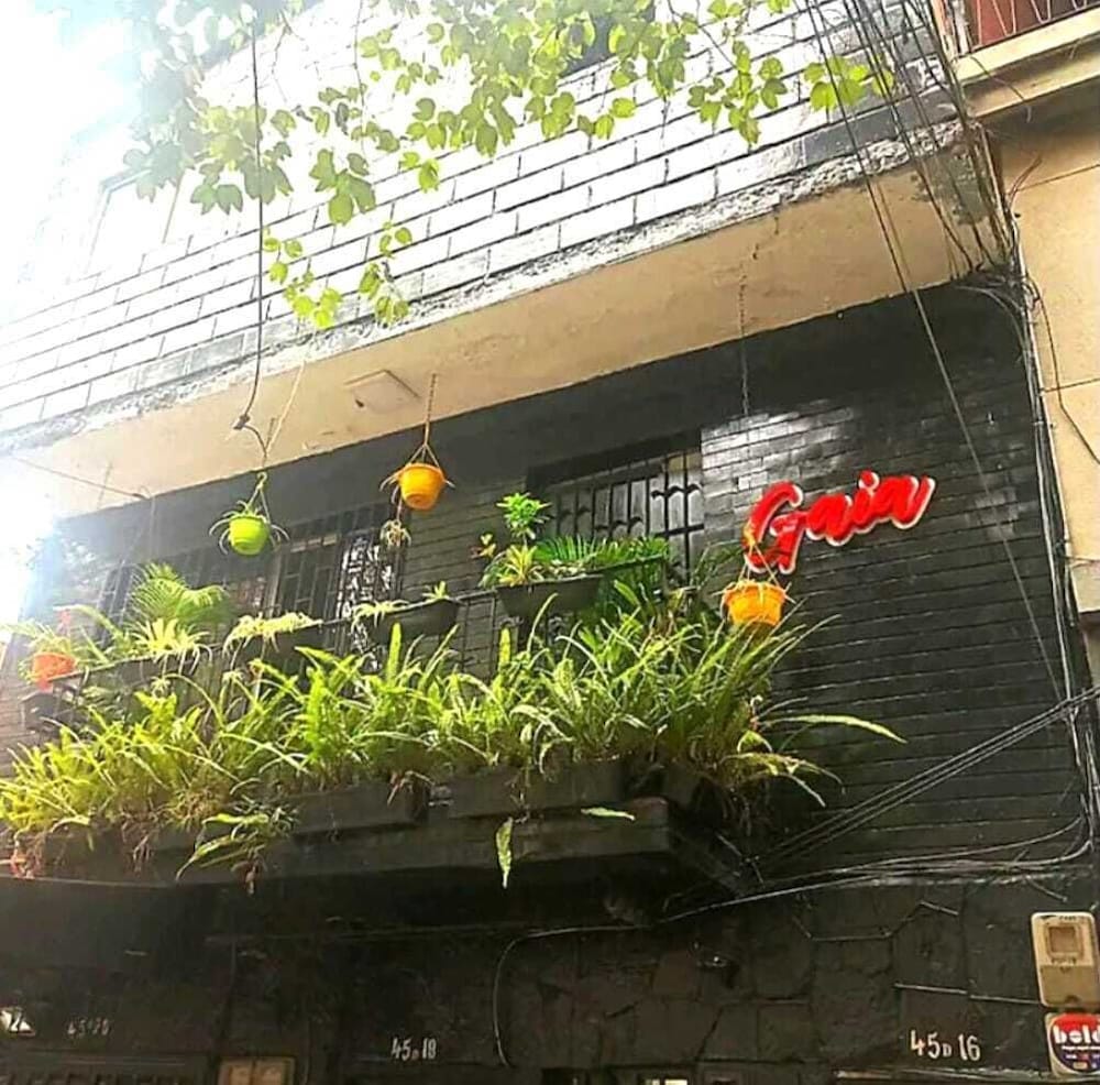 Gaia en Medellín