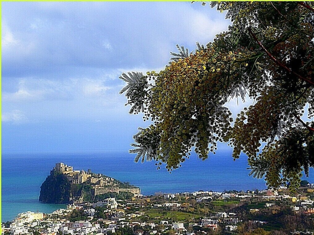 Villa La Favola Suite Ischia Terrace With View photo 2