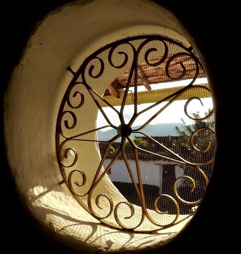 Photo 41