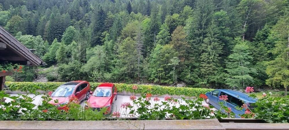 Apartmaji Pod macesnovo streho