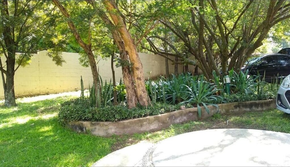 Photo 47