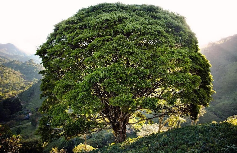 Pousada da Gruta