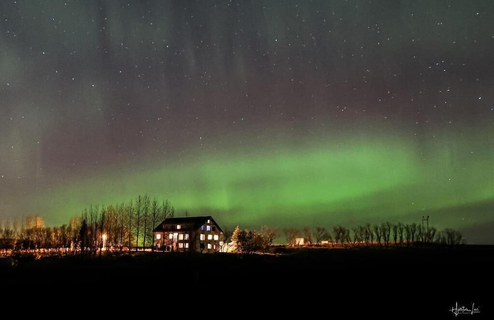 Hotel Bitra Bed & Breakfast - Image 1