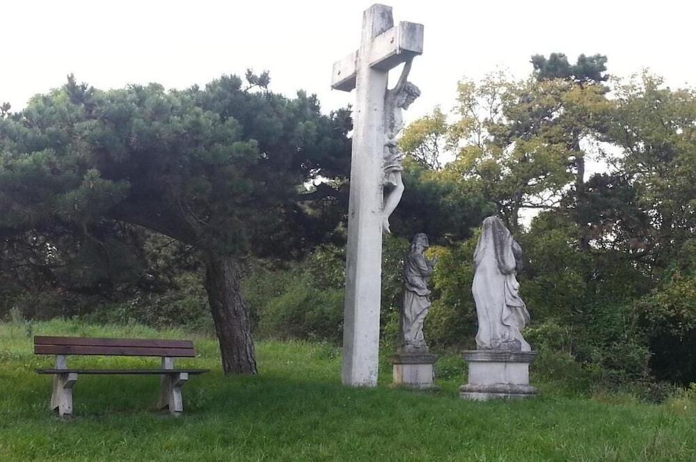 Photo 42