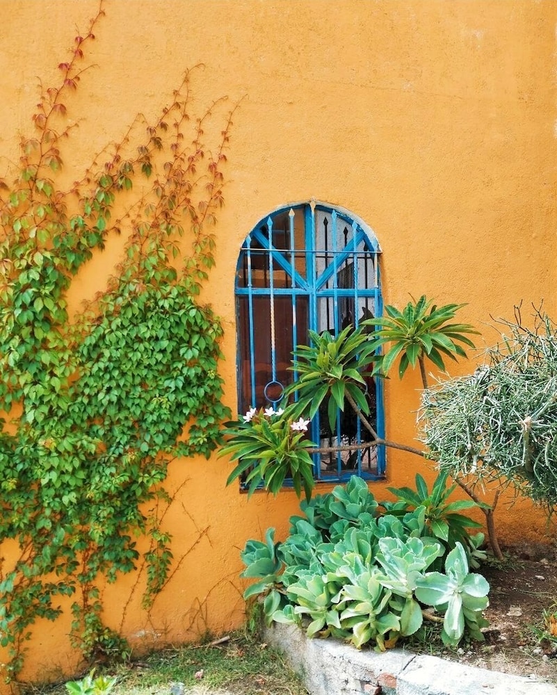 Photo 23
