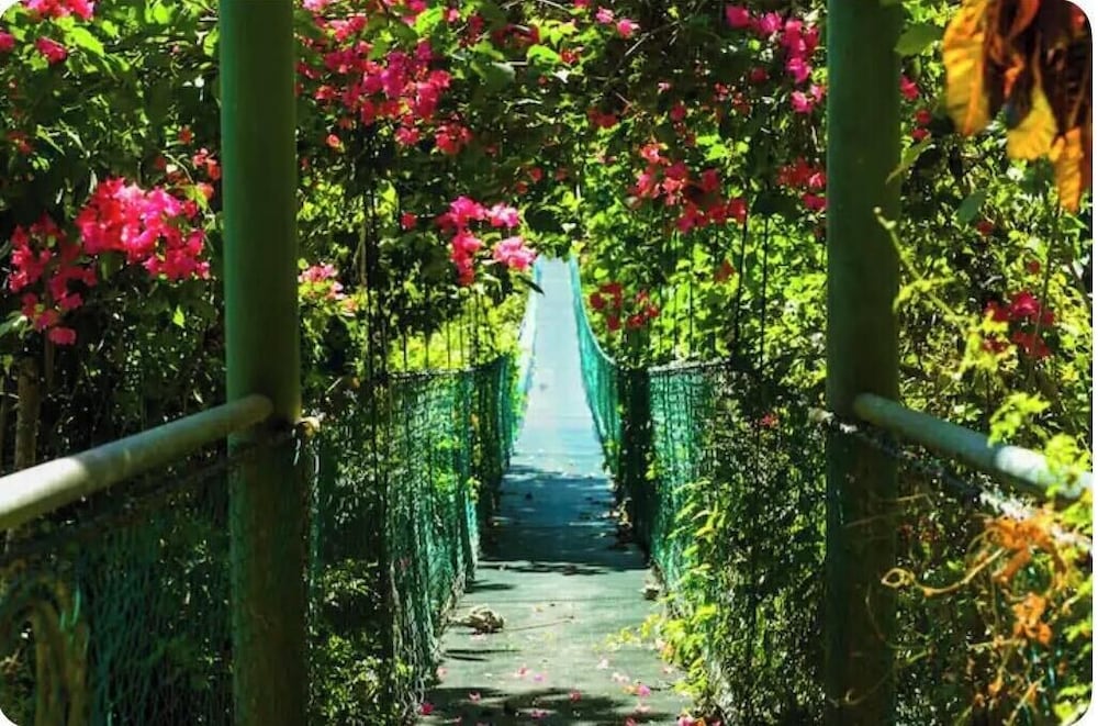 Sunshine Sanctuary