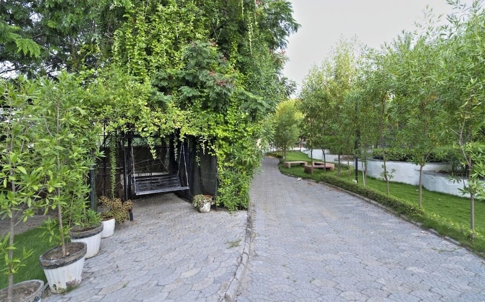 Photo 11