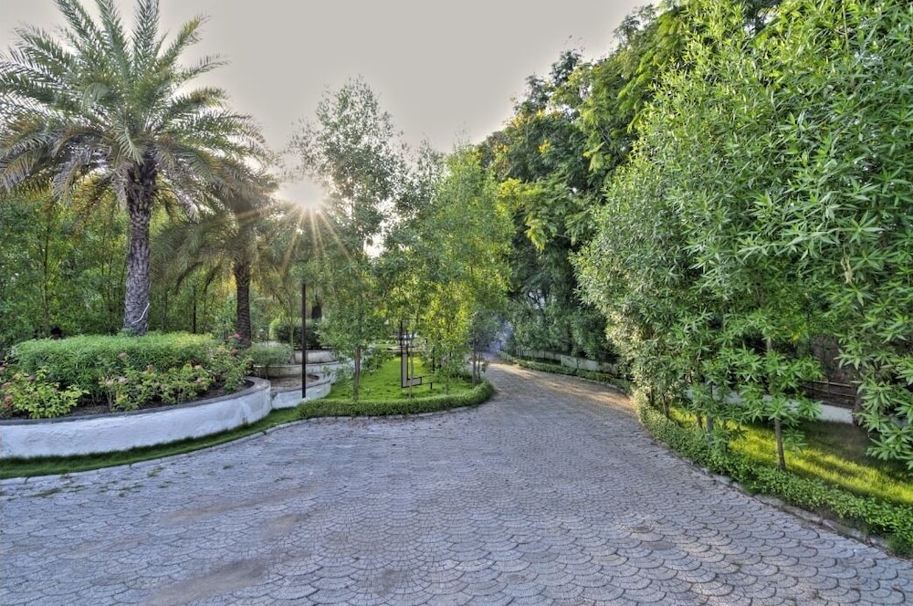 Photo 9