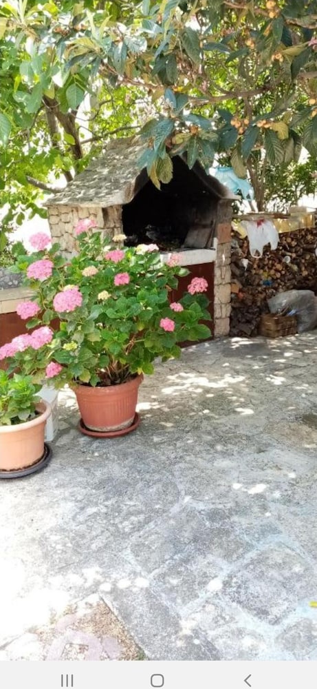 Photo 44