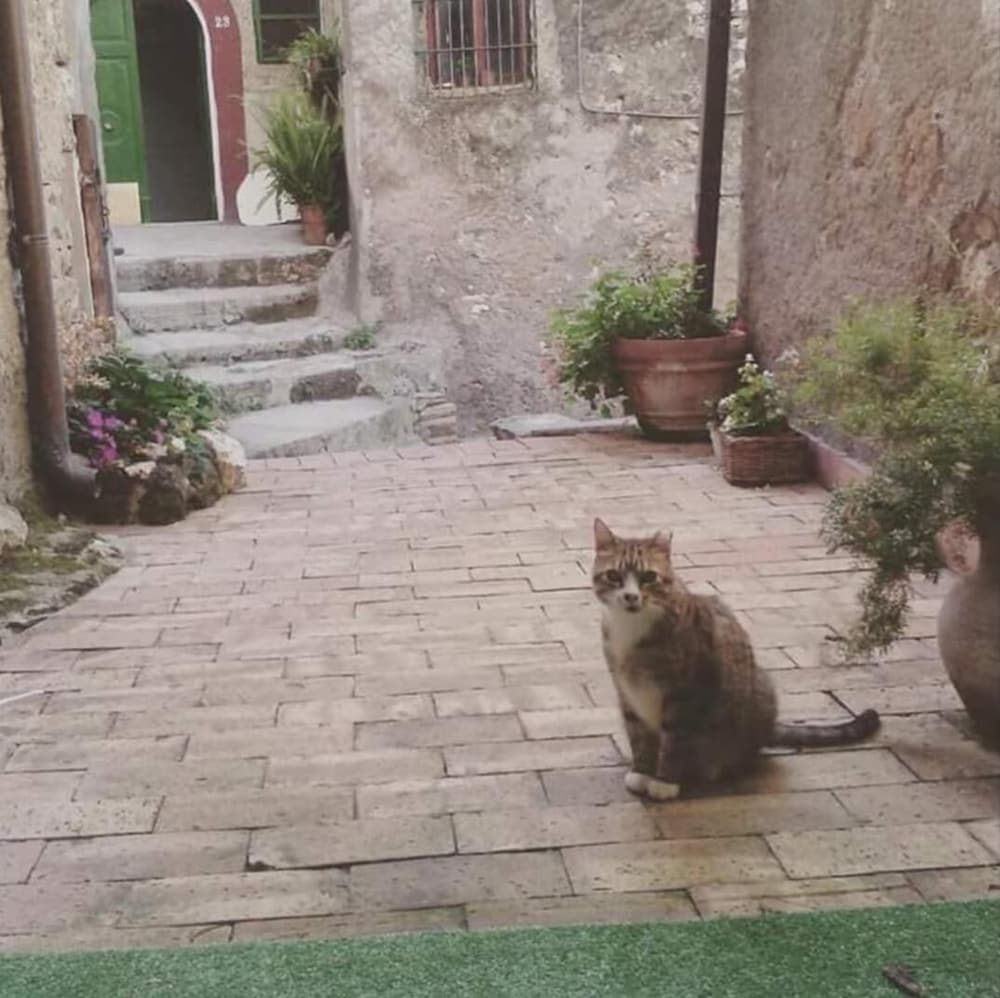 B&B Rupe Antica