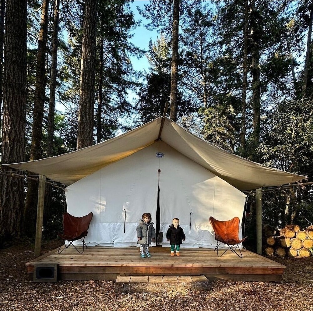 Mendocino Grove 11
