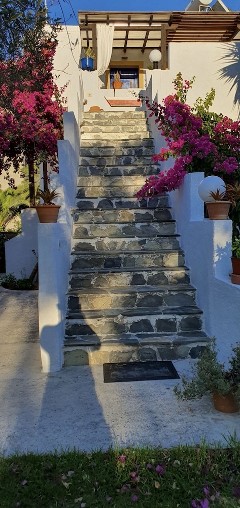 Photo 38