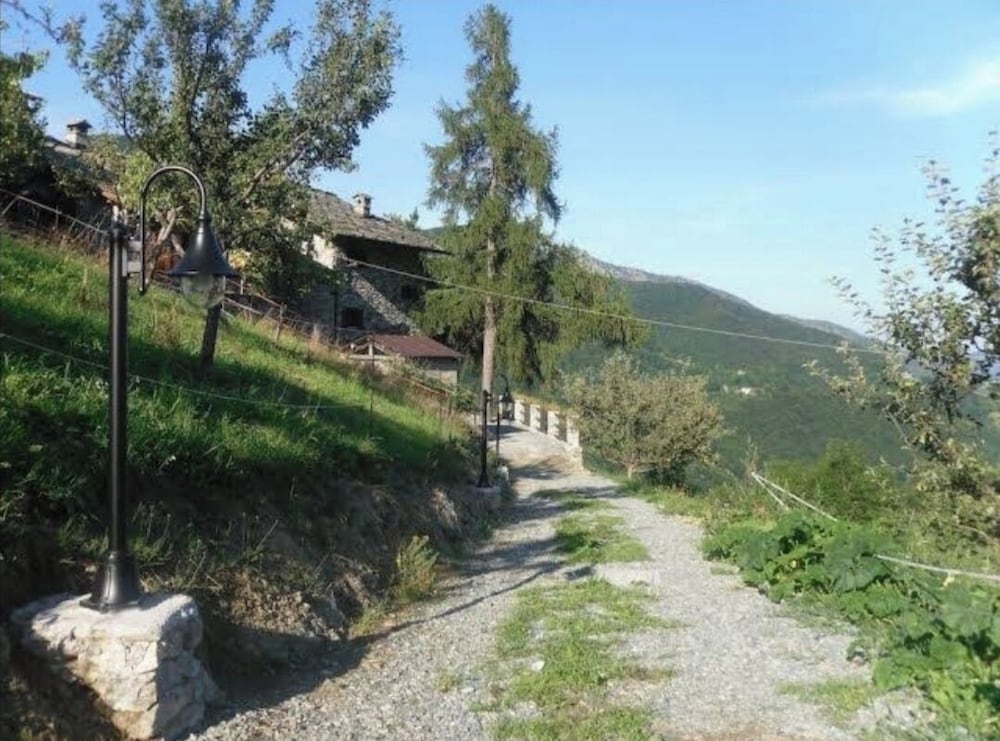 Photo 25