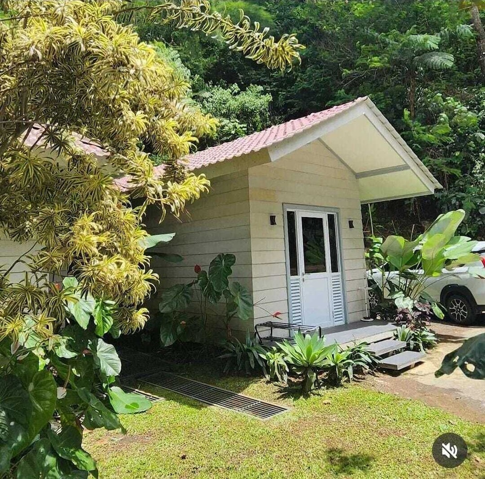 The Pine Forest Villas