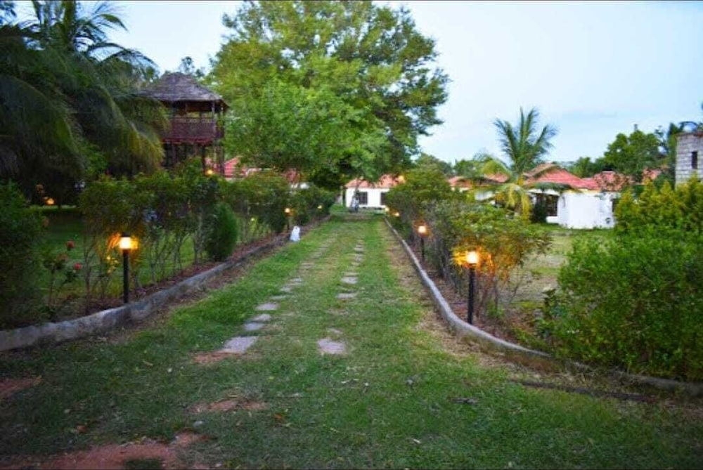 Olive Jungle Resort