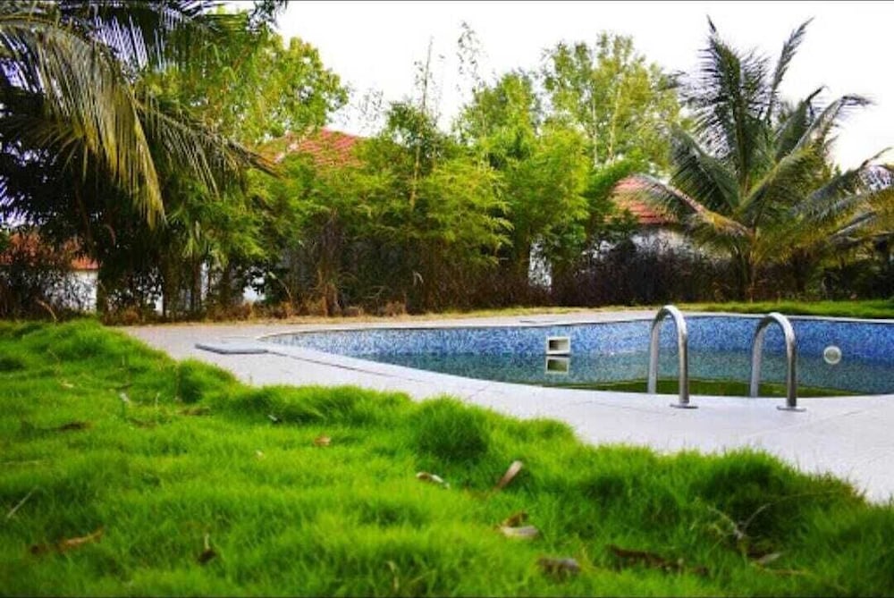 Olive Jungle Resort