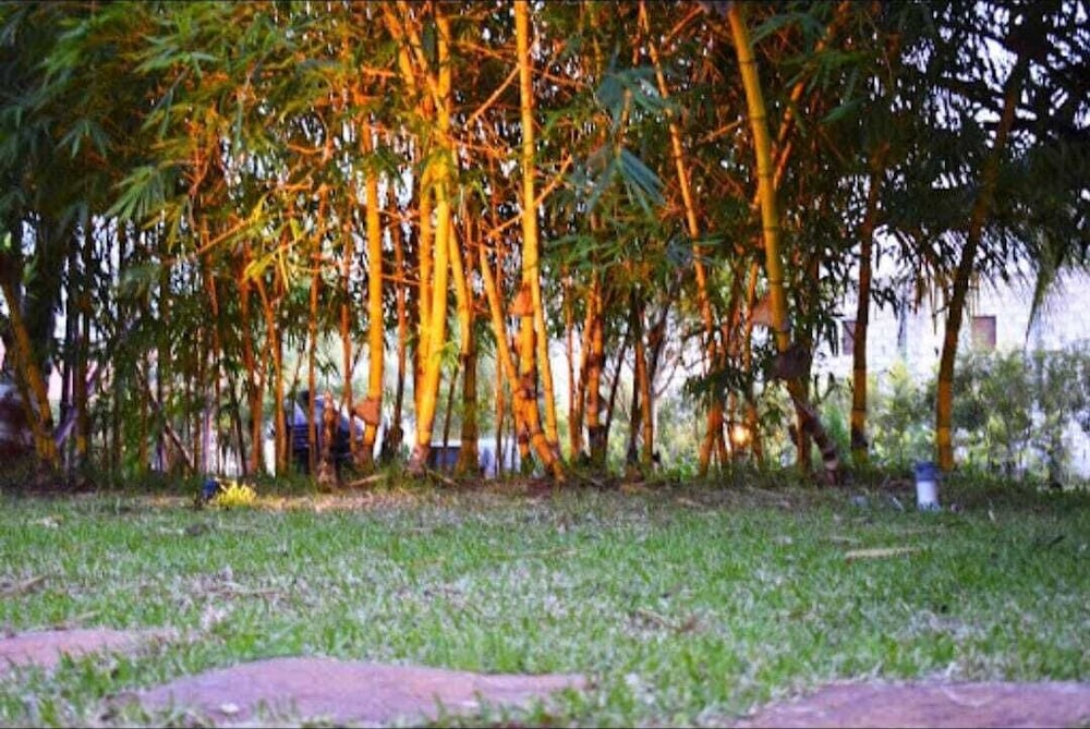 Olive Jungle Resort