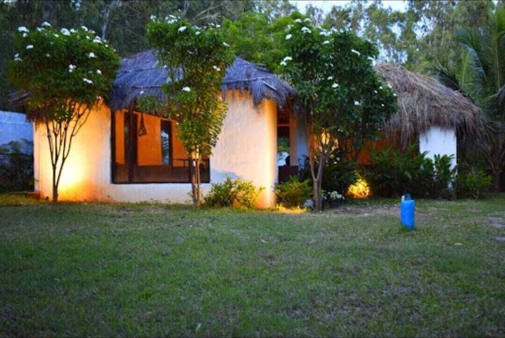 Olive Jungle Resort