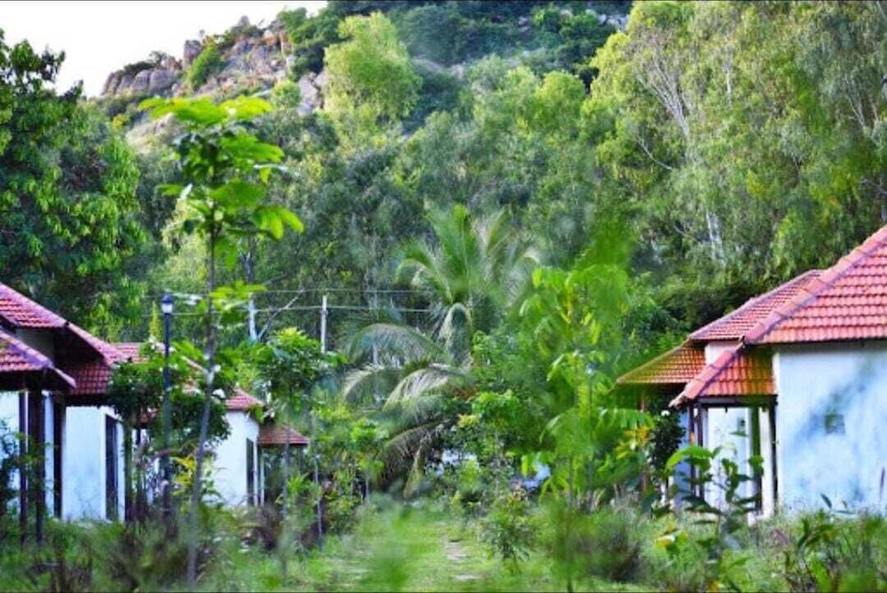 Olive Jungle Resort