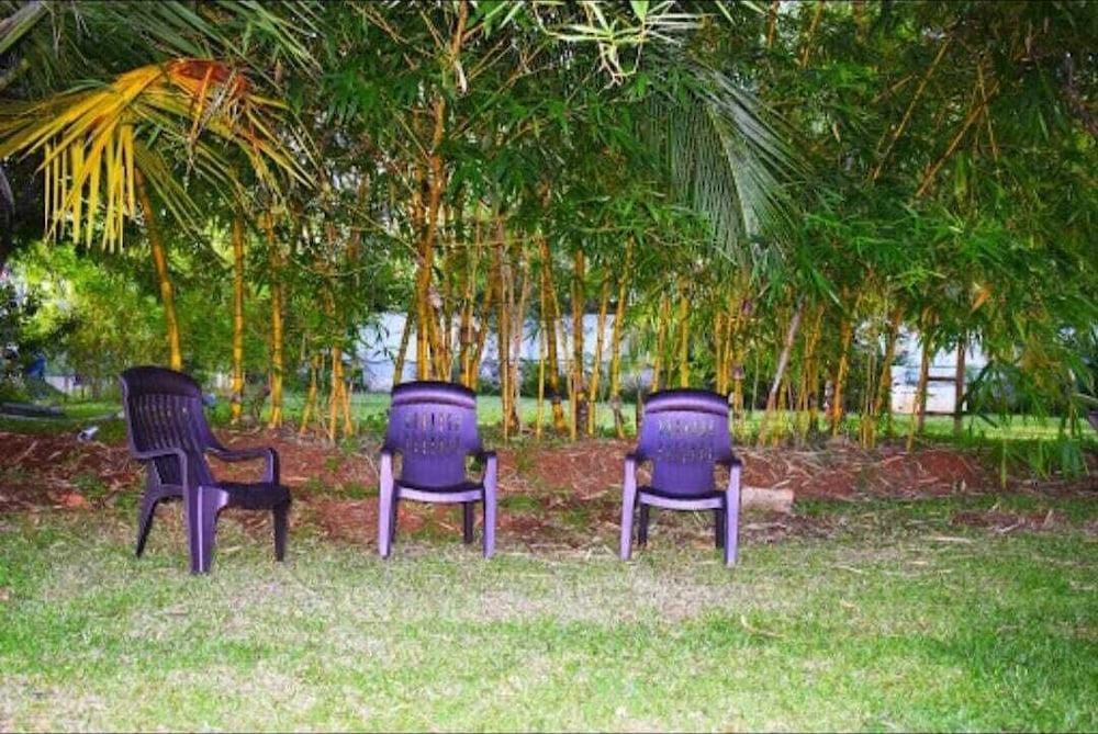 Olive Jungle Resort