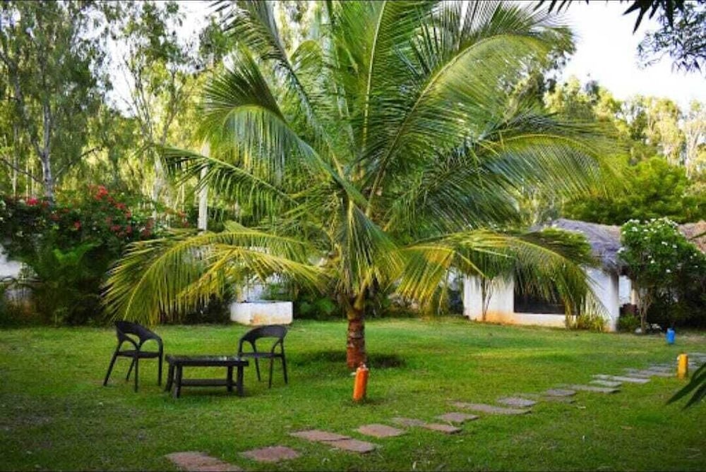 Olive Jungle Resort