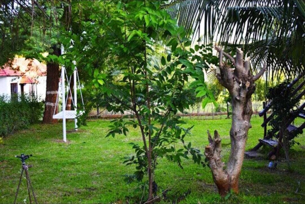Olive Jungle Resort
