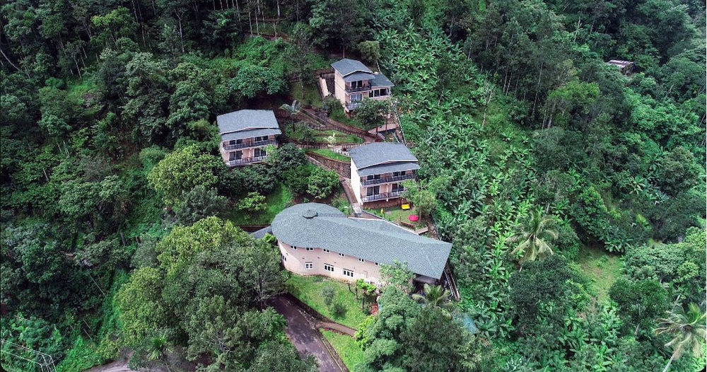 The Violet Thekkady