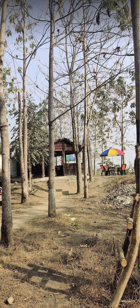 Photo 20