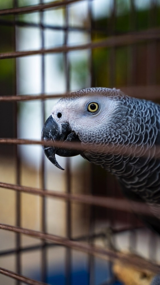 Castle Eski Şehir - Image 124